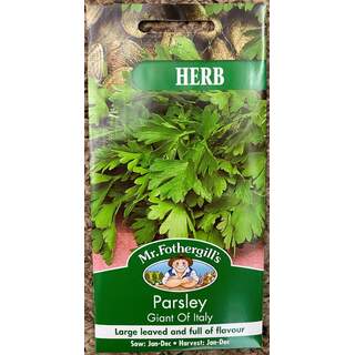 UK/FO-PARSLEY Giant of Italy